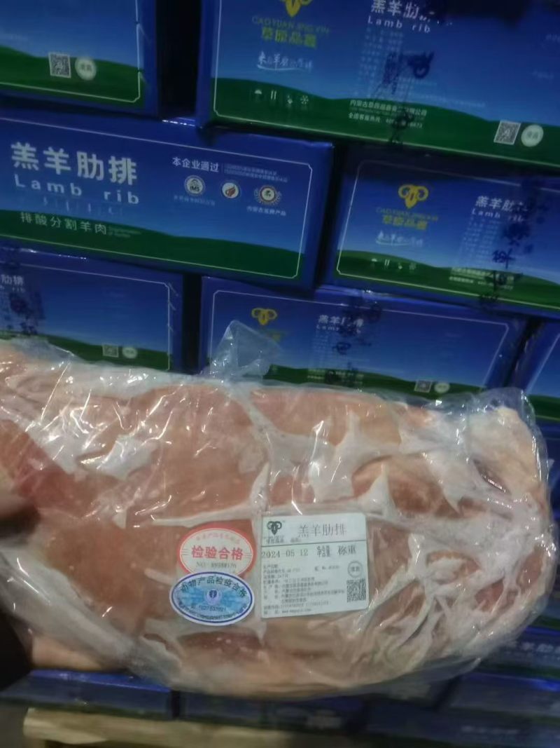 内蒙纯干羔羊肋排，原切精修包瘦，货源稳定，实拍质量看得见