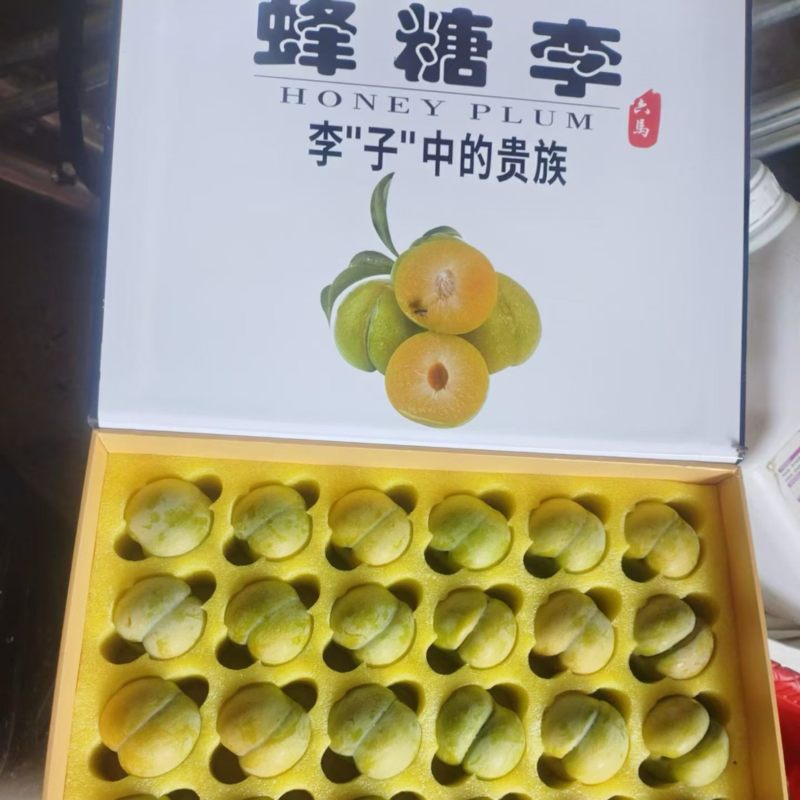 正宗六马蜂糖李支持一件代发