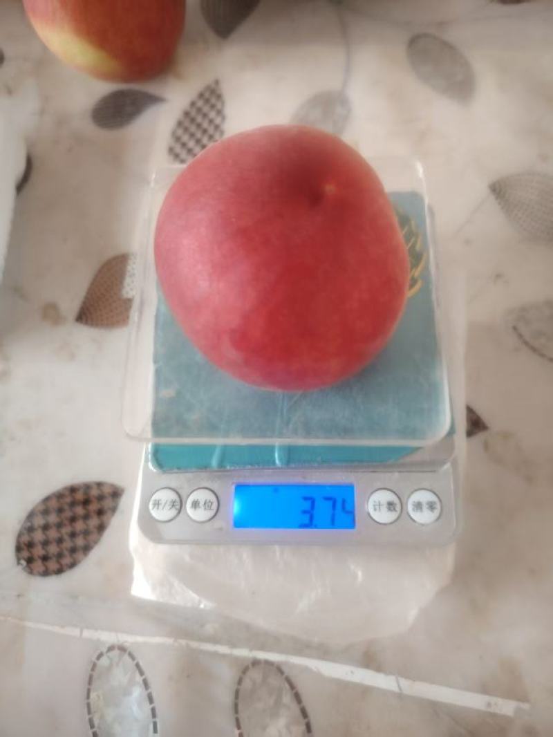 春雪毛桃，春丽春美，大量上市中