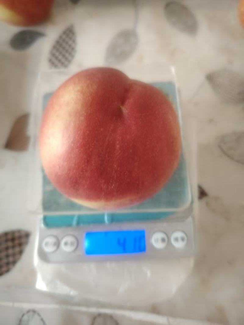 春雪毛桃，春丽春美，大量上市中