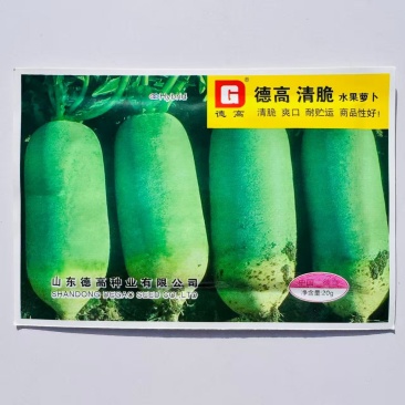 萝卜种子德高清脆青萝卜种子
