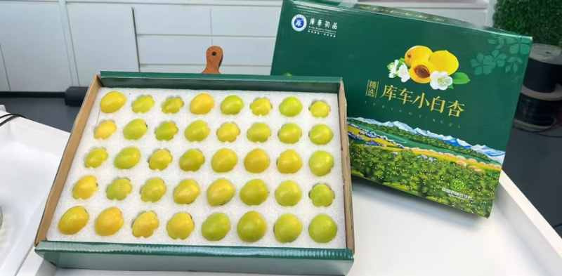 新疆库车小白杏