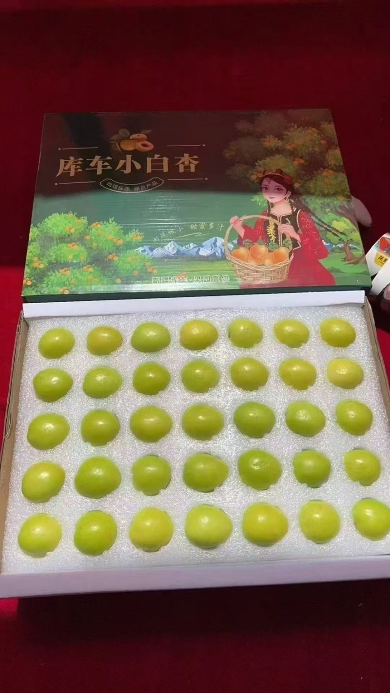 新疆库车小白杏
