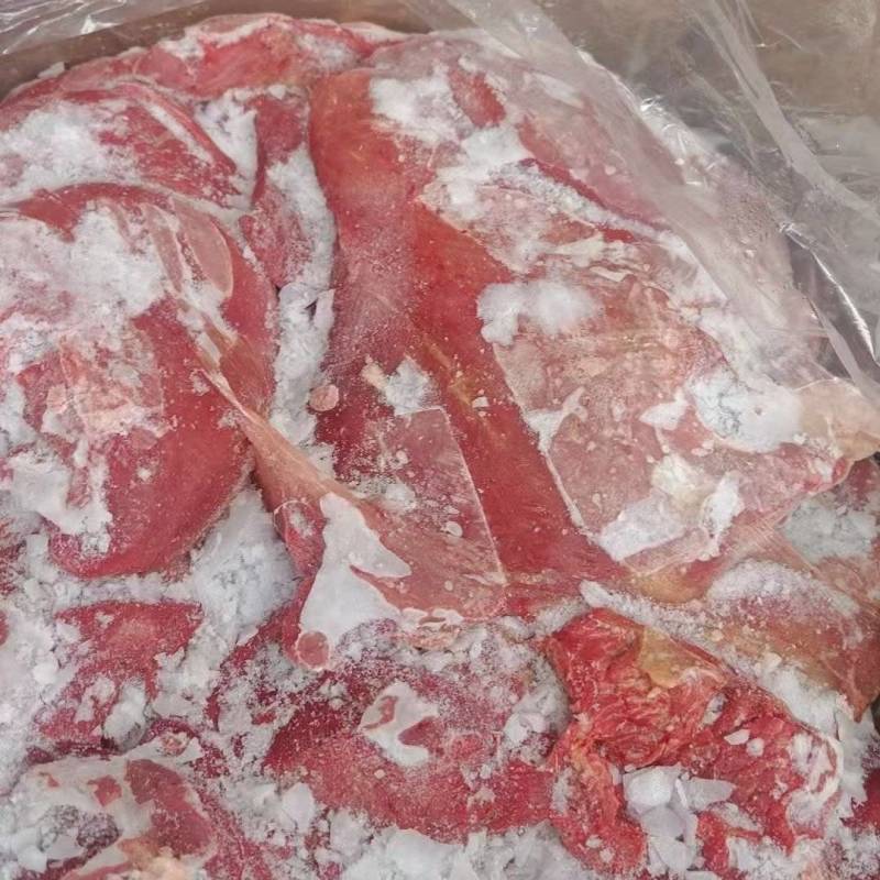 内蒙小牛前