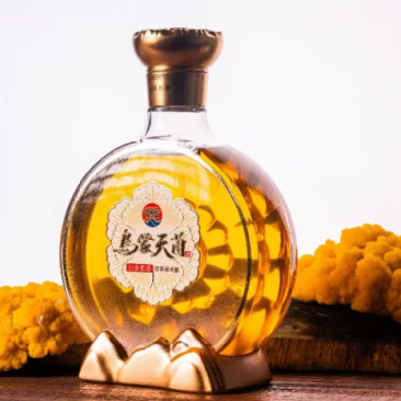乌蒙天菌酒