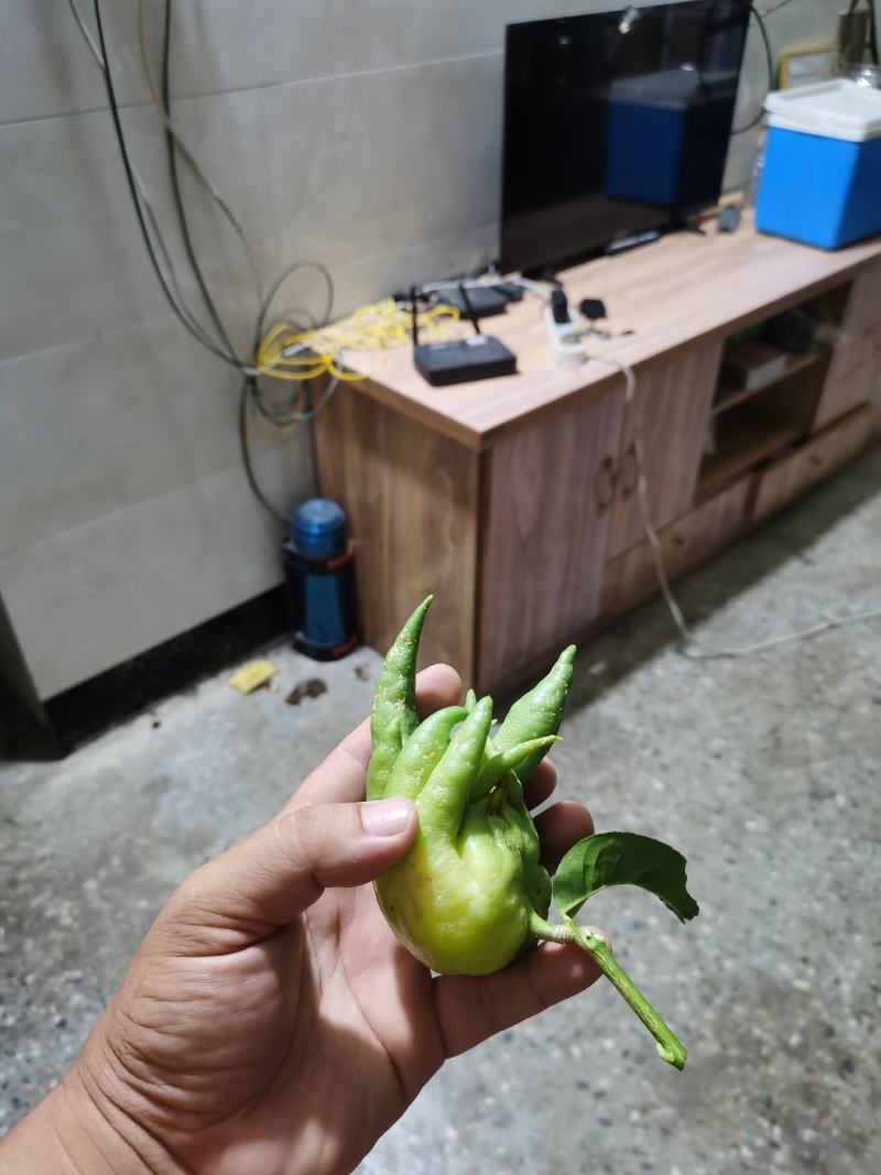 广西哪里位置