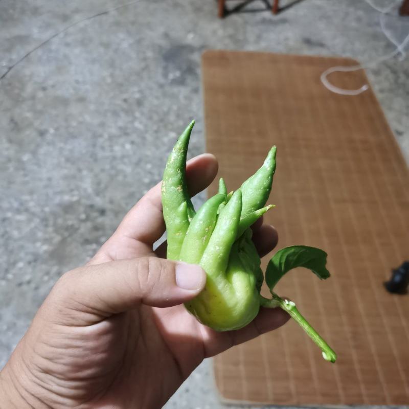 广西哪里位置