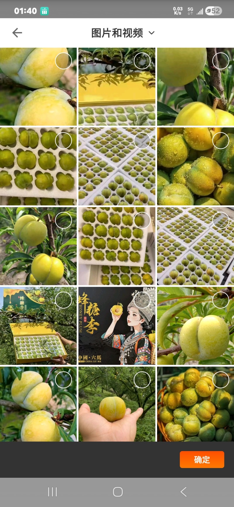 蜂糖李，中国知名品牌，专业团队代理代收代发。