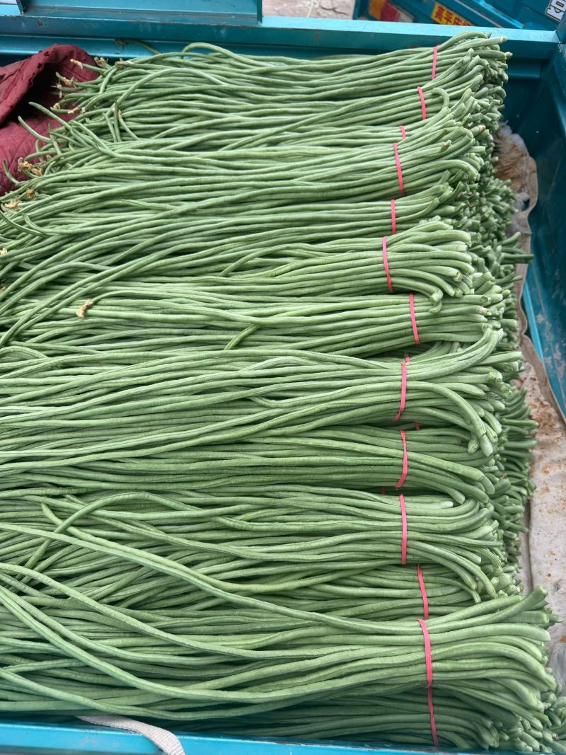 精品豆角，青条长豆角，豇豆，现摘现发