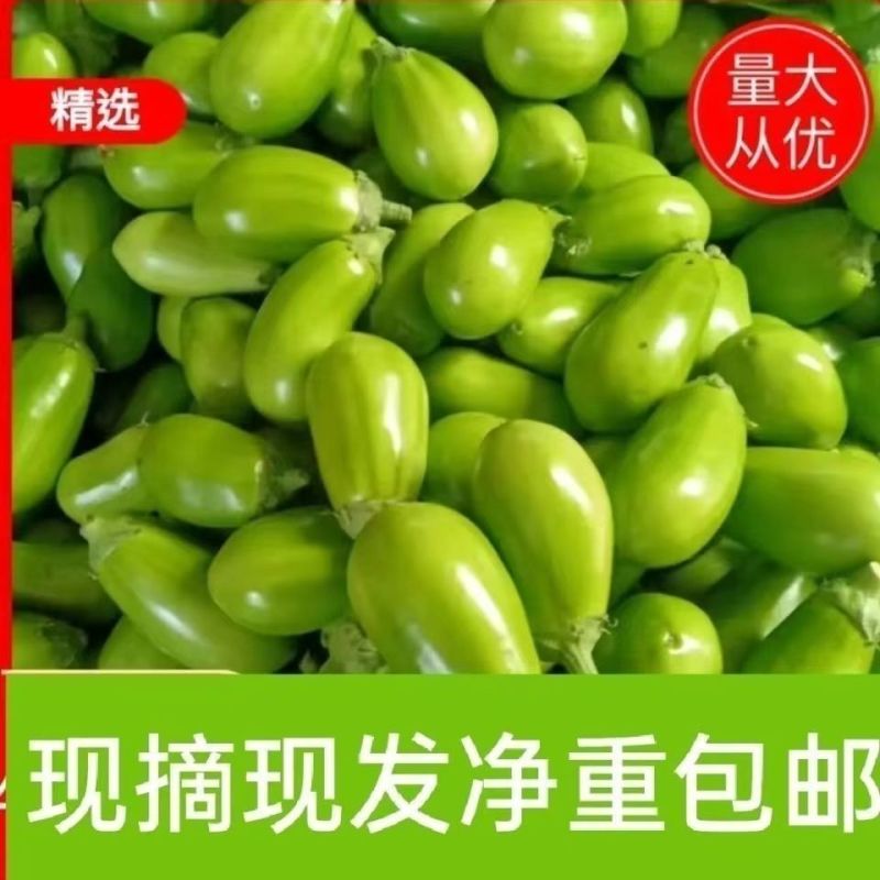 西华本地绿茄子日供5000斤+新鲜无空心商超/团购