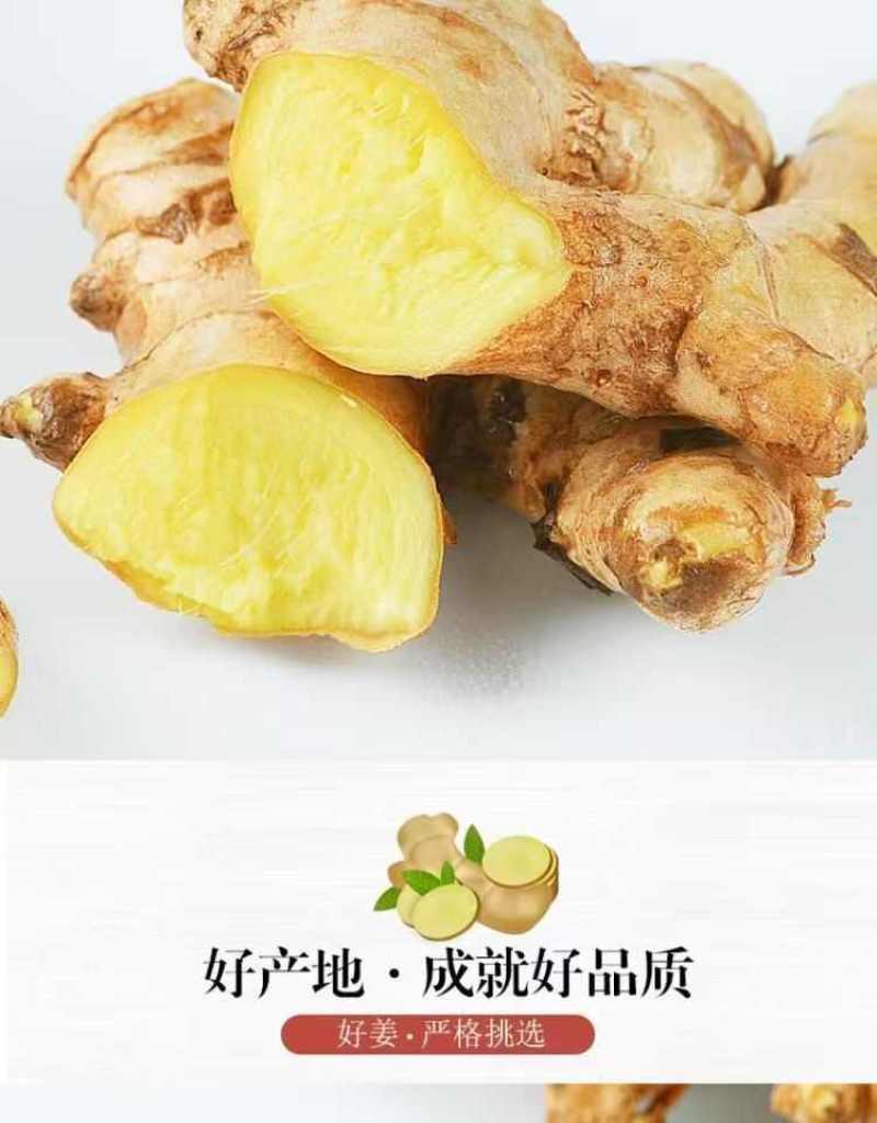 云南小黄姜