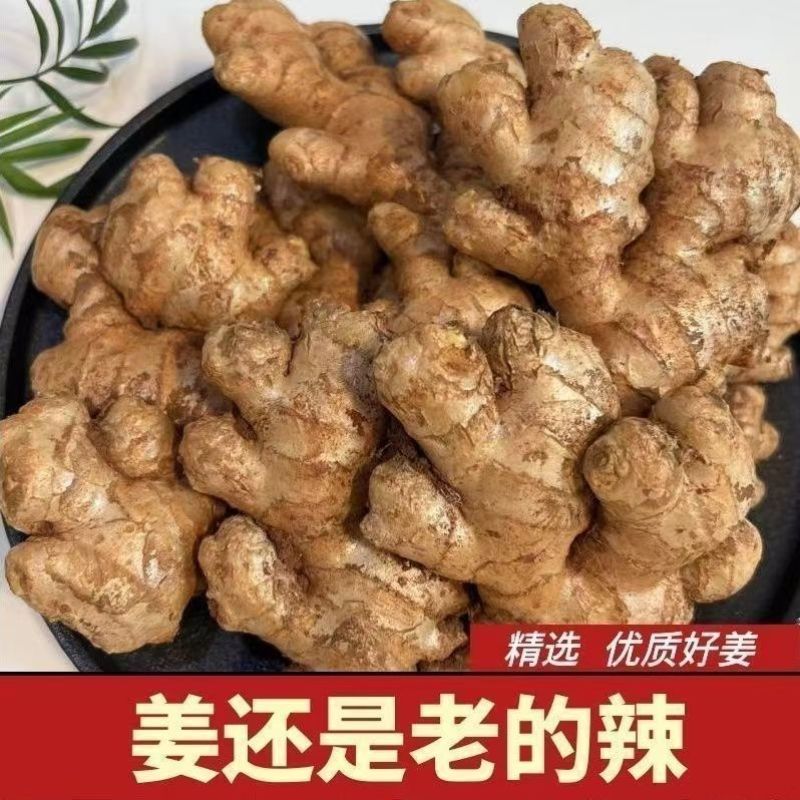 云南小黄姜
