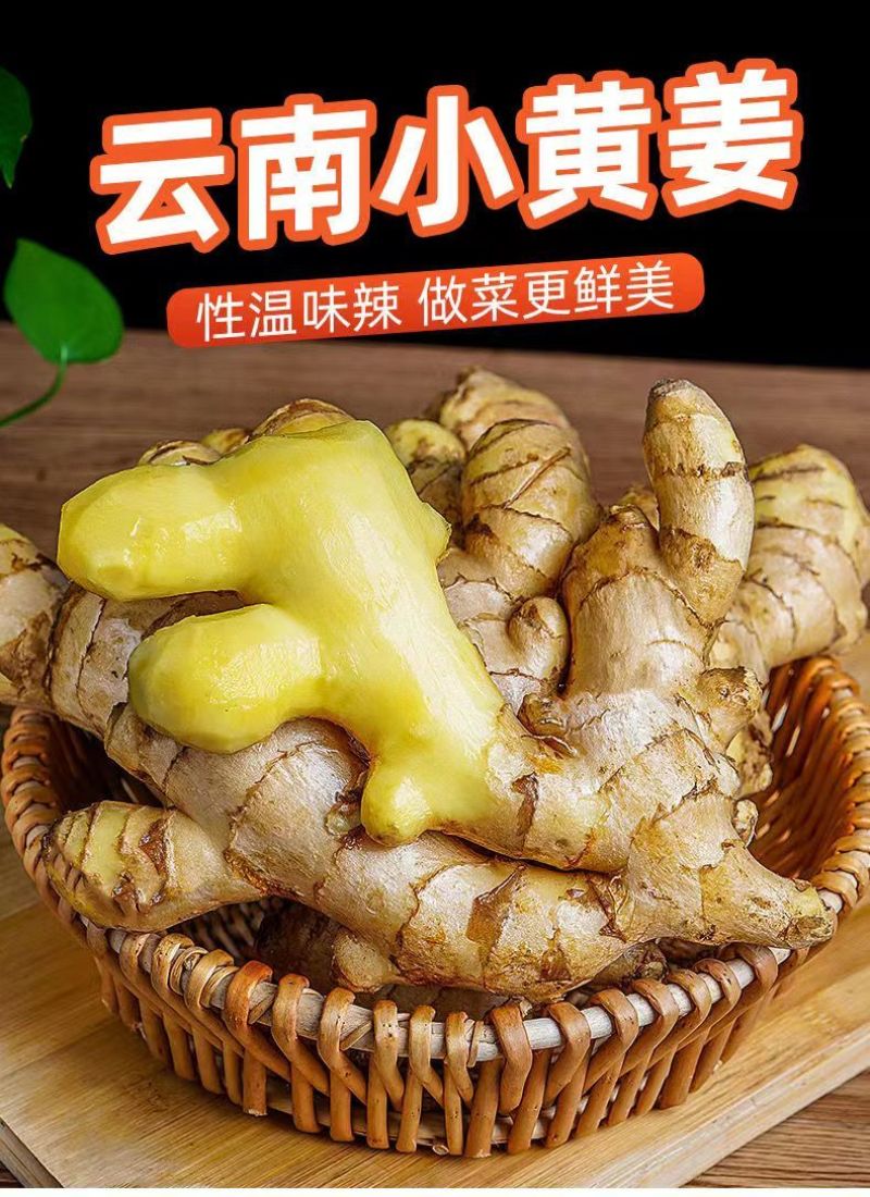 云南小黄姜