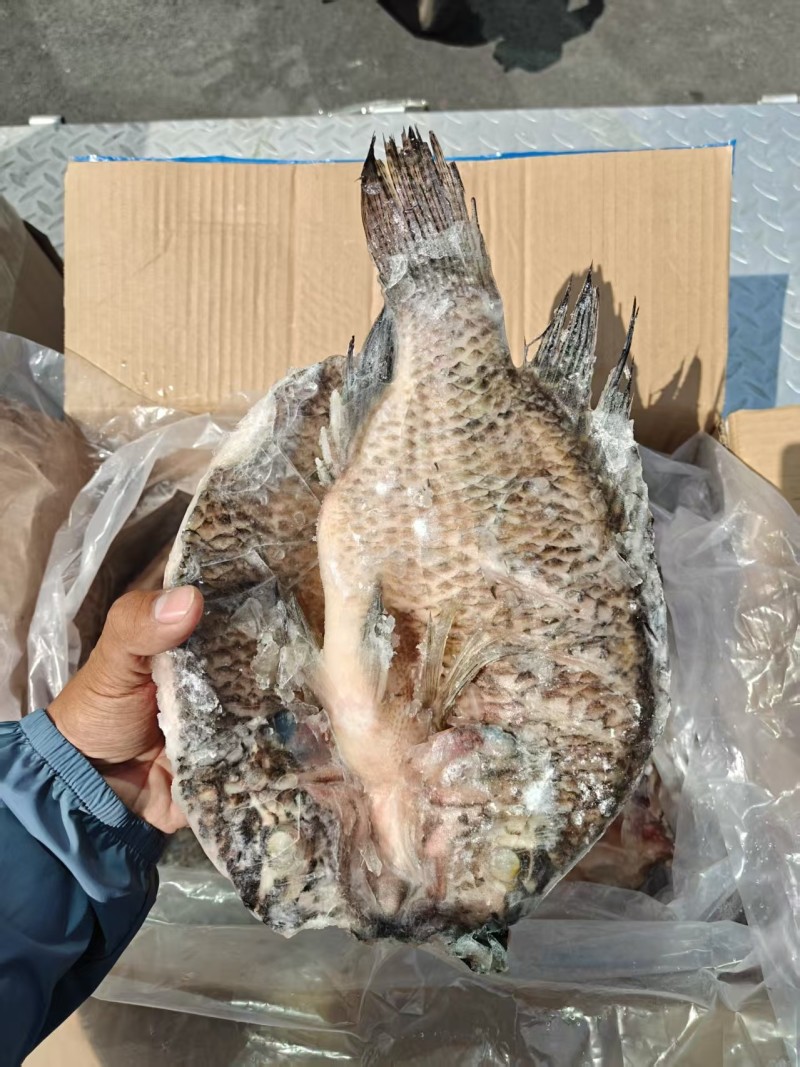 品名：开背鲷鱼（罗非鱼）规格：一箱20斤，11条/12