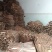 宜宾竹海笋壳