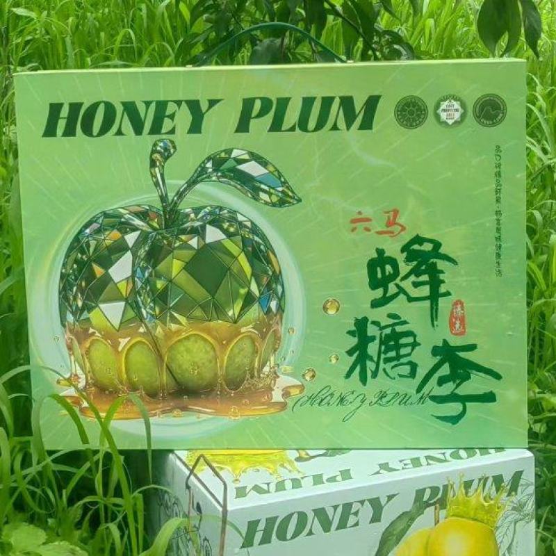 贵州六马核心产地蜂糖李