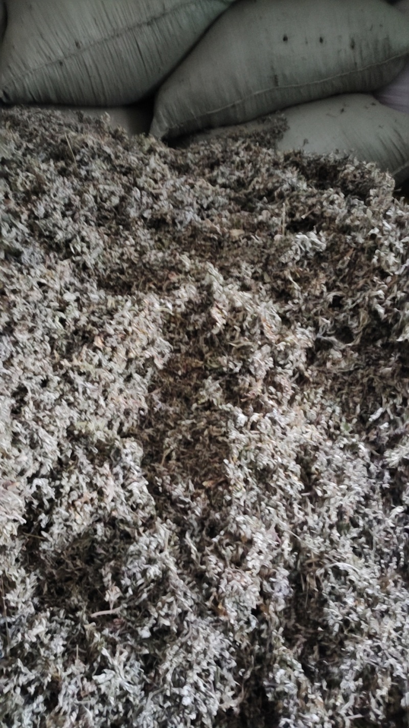 湖北艾叶端午艾陈艾头茬艾大白艾大艾叶艾绒艾条