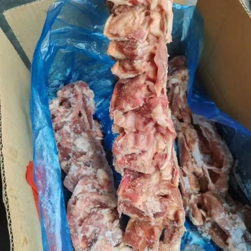 二级鸭锁骨