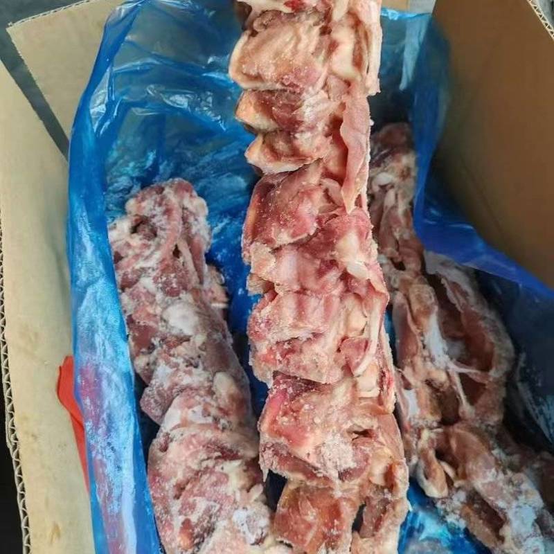二级鸭锁骨