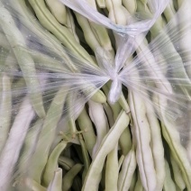 精品四季豆颜色好条子长嫩度产地大量供应需要的老板请联系我