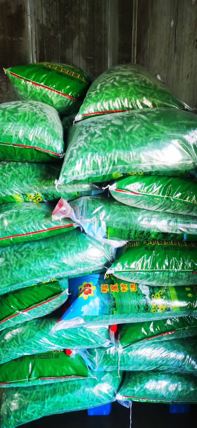 四川攀枝花毛豆/产区直发/货源充足/大量有货