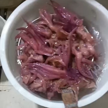 鱿鱼花鱿鱼卷