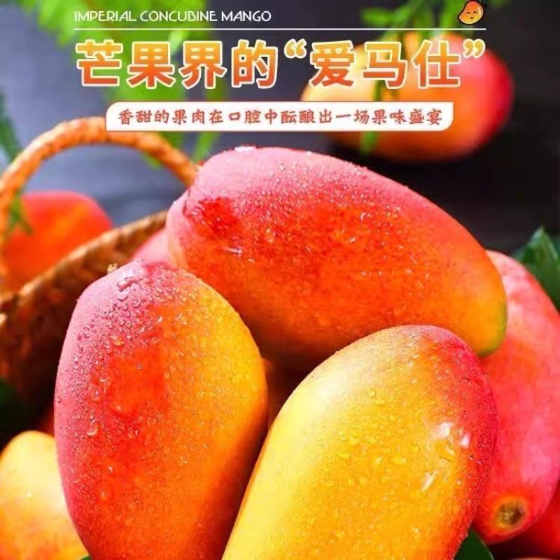 广西百色贵妃芒大量上市了实力代收代办一件代发