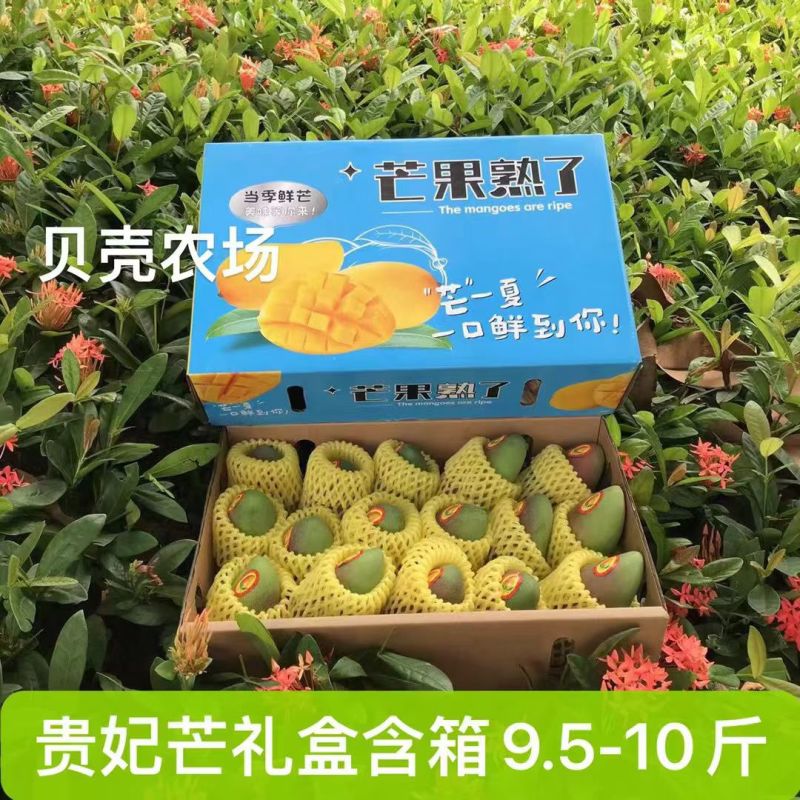 广西百色贵妃芒大量上市了实力代收代办一件代发