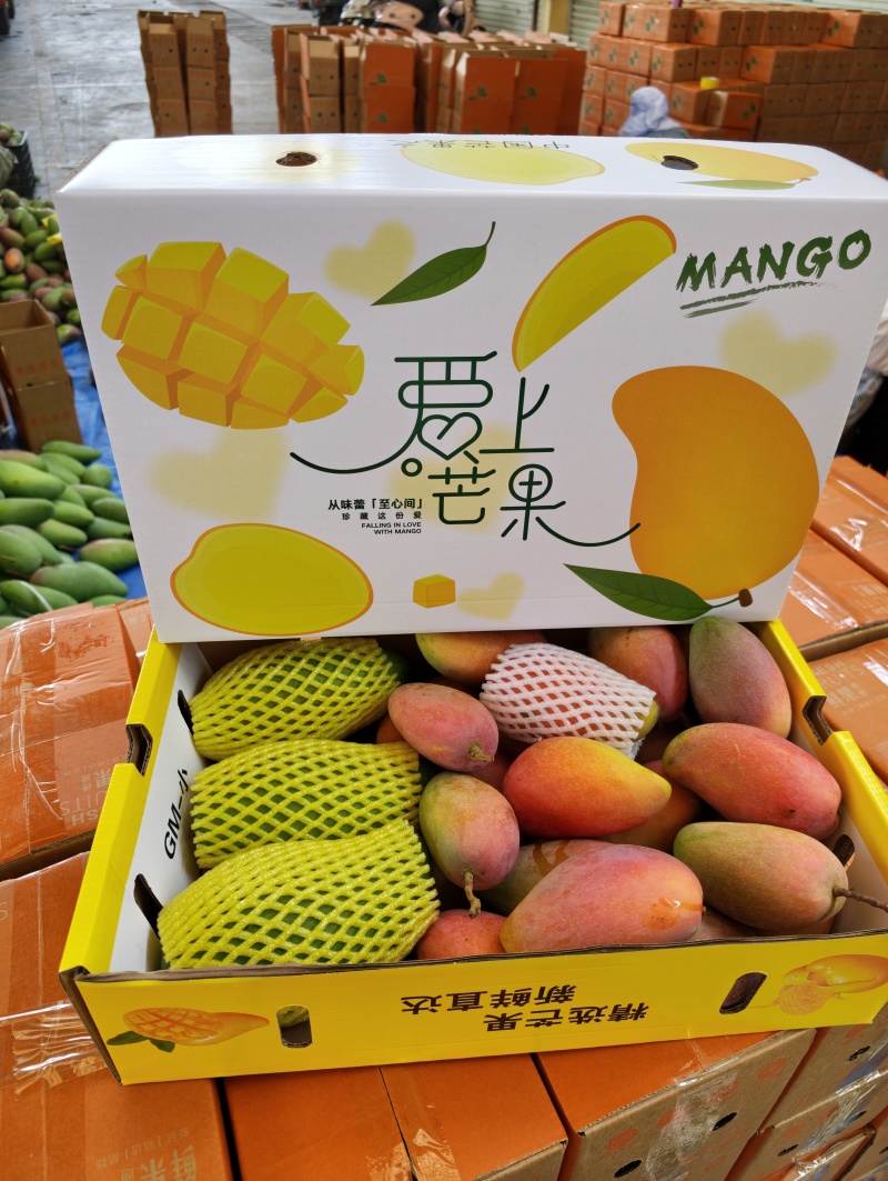 广西百色贵妃芒大量上市了实力代收代办一件代发