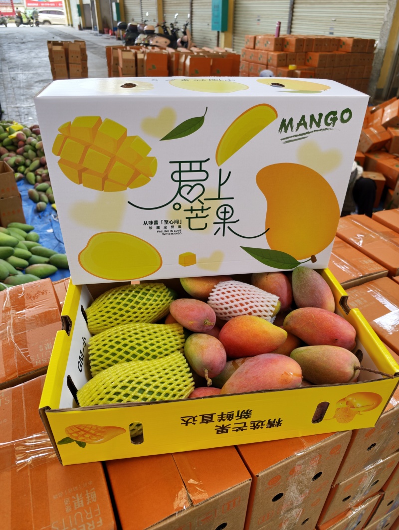 广西百色贵妃芒大量上市了实力代收代办一件代发