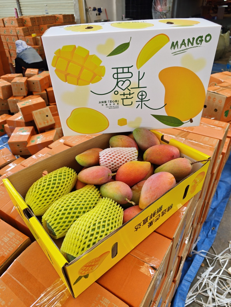 广西百色贵妃芒大量上市了实力代收代办一件代发