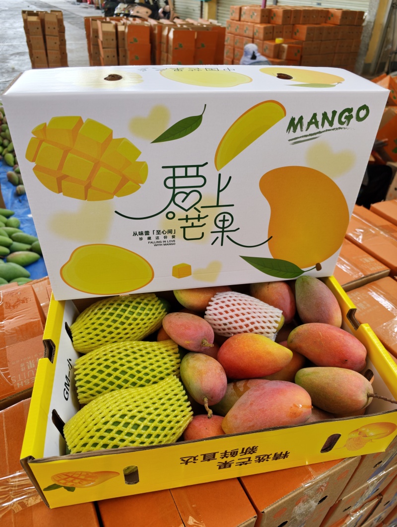 广西百色贵妃芒大量上市了实力代收代办一件代发