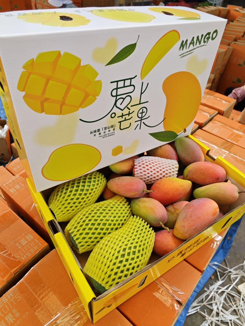 广西百色贵妃芒大量上市了实力代收代办一件代发