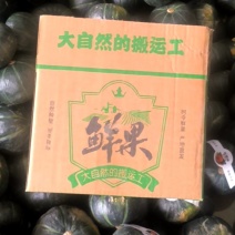 贝贝南瓜电商一件代发各种规格可定制可开发票产地直发