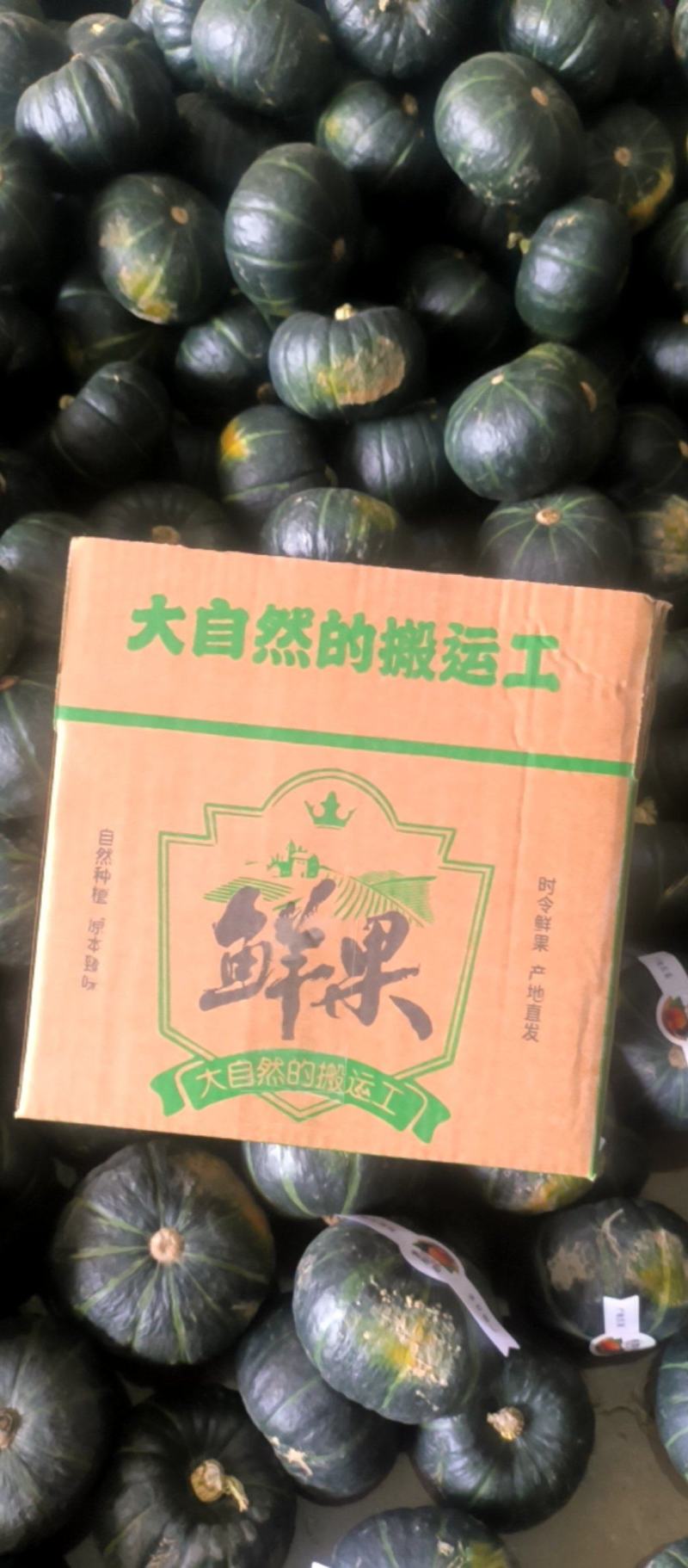 贝贝南瓜电商一件代发各种规格可定制可开发票产地直发
