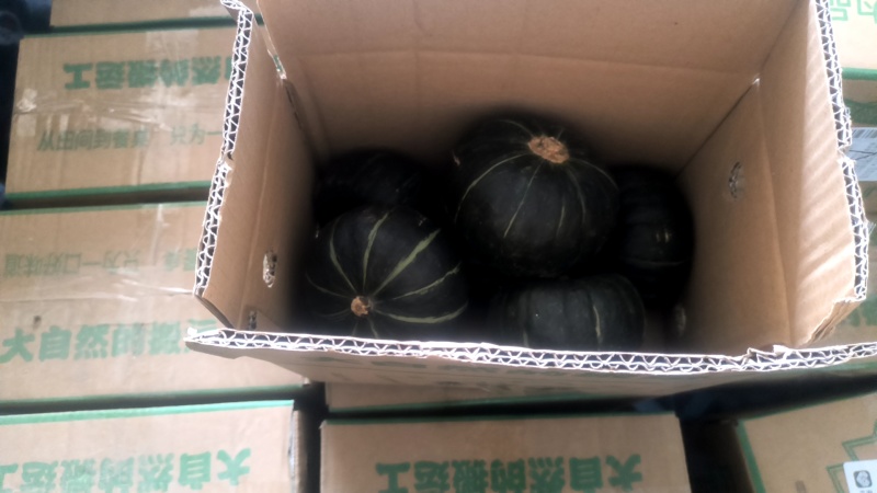 贝贝南瓜电商一件代发各种规格可定制可开发票产地直发