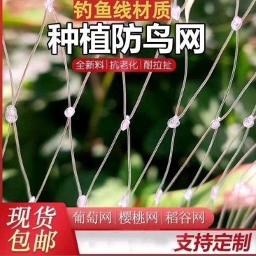 防鸟网新料大棚通风口果园防鸟网鱼塘养鸡果园葡萄樱桃