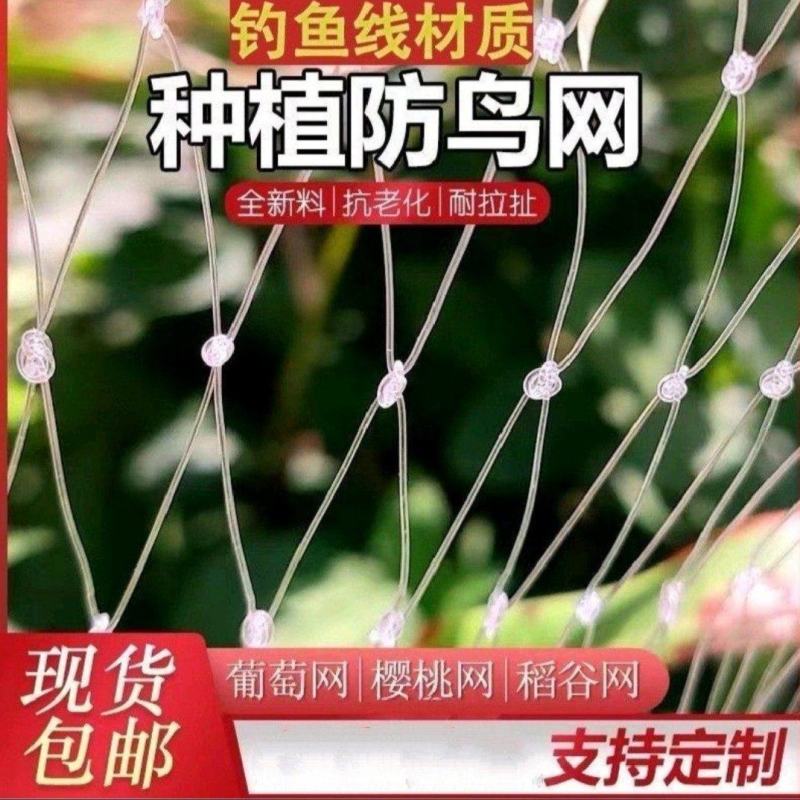 防鸟网新料大棚通风口果园防鸟网鱼塘养鸡果园葡萄樱桃