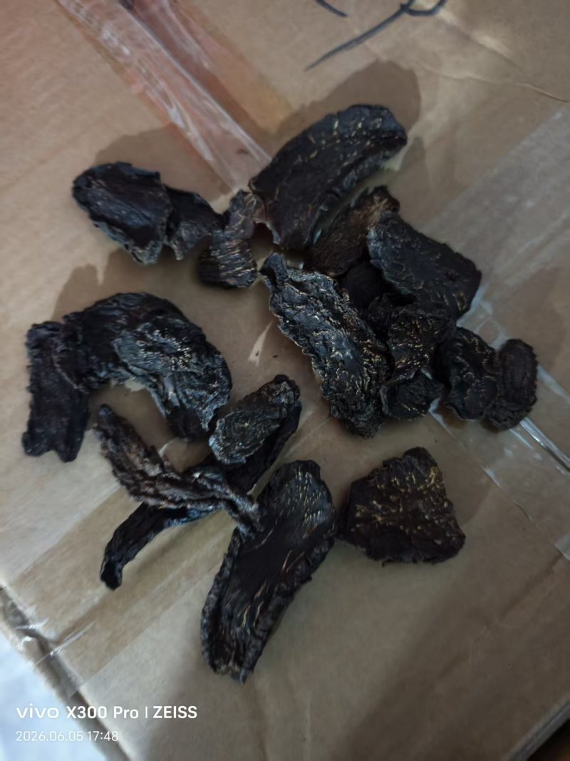 原产地荒漠肉苁蓉