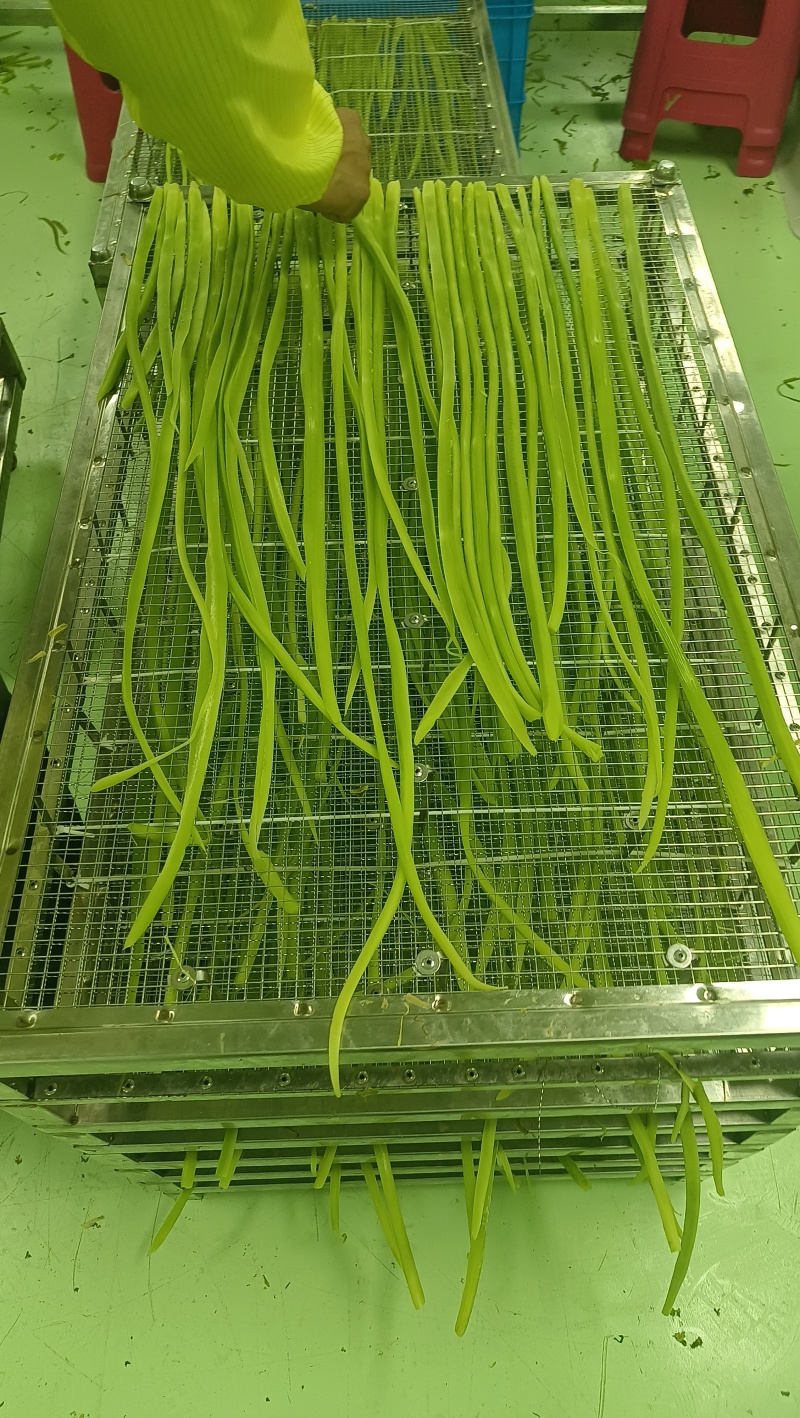 贡菜