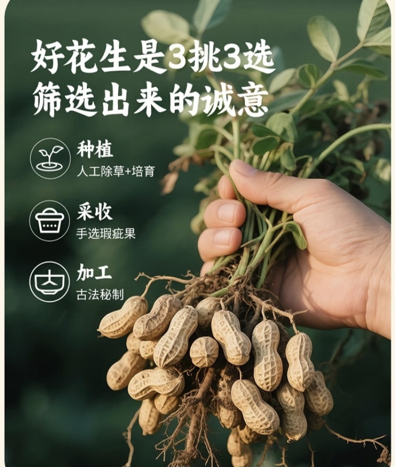 -沂蒙特产香酥熟花生多种口味可选办公室解馋下酒菜