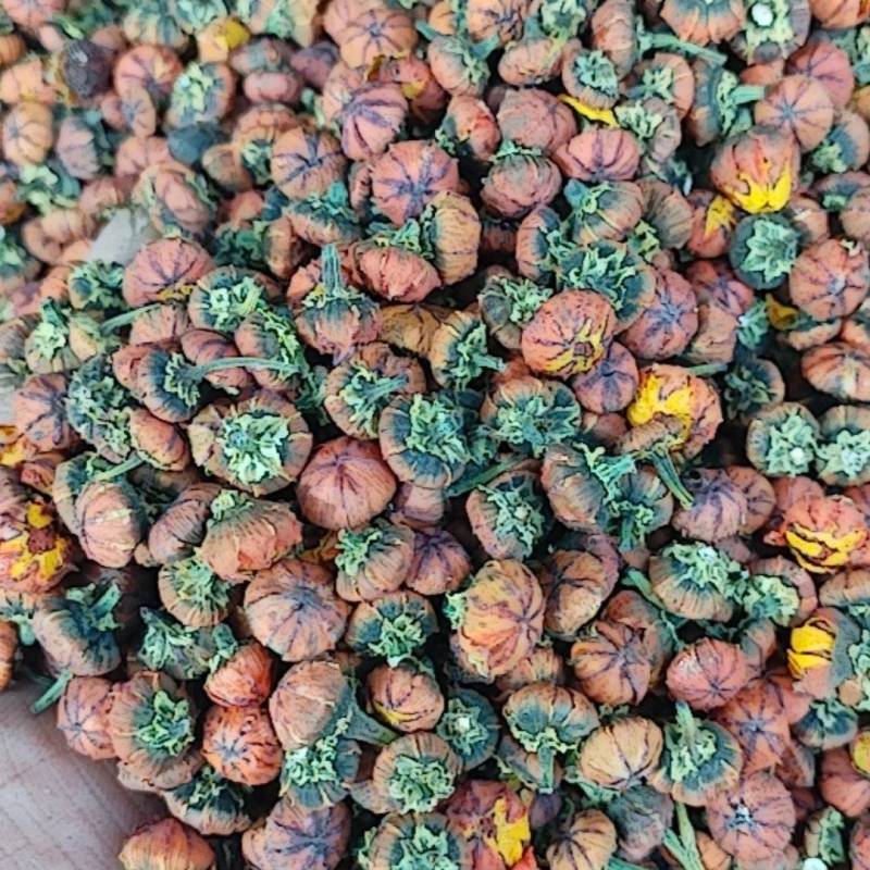 昆仑胎菊新疆高海拔精品花草茶