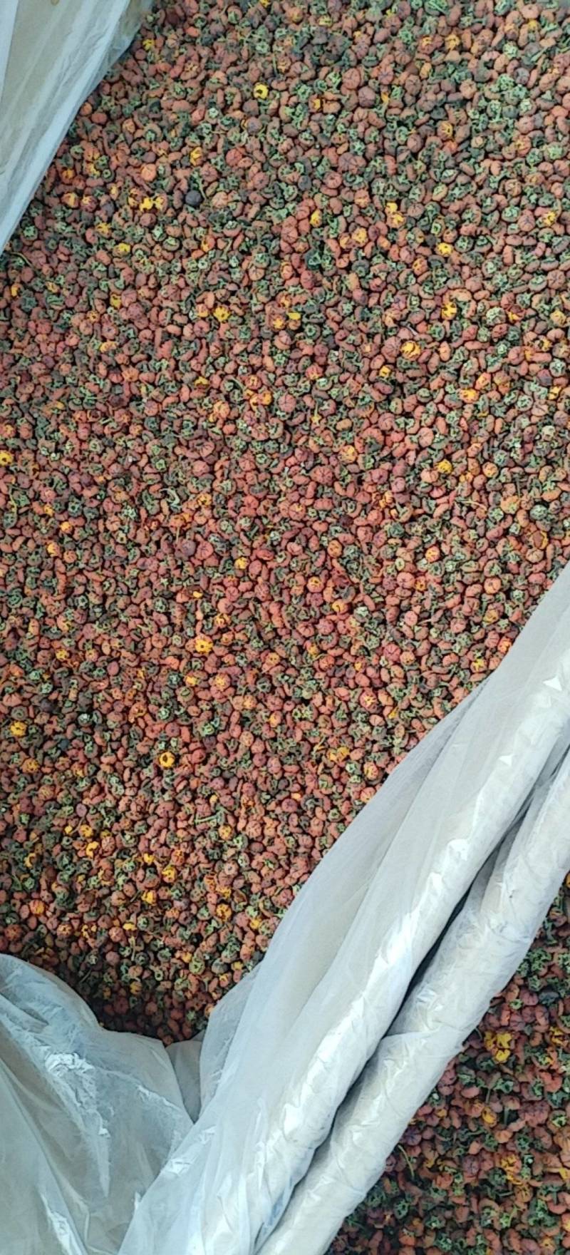 昆仑胎菊新疆高海拔精品花草茶