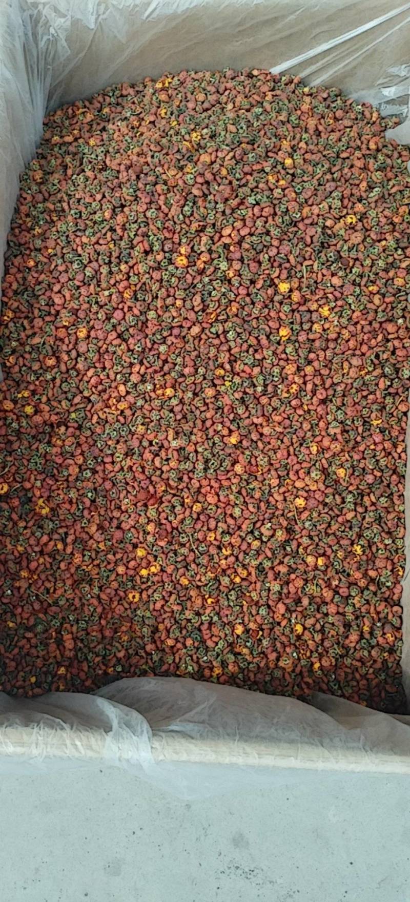 昆仑胎菊新疆高海拔精品花草茶