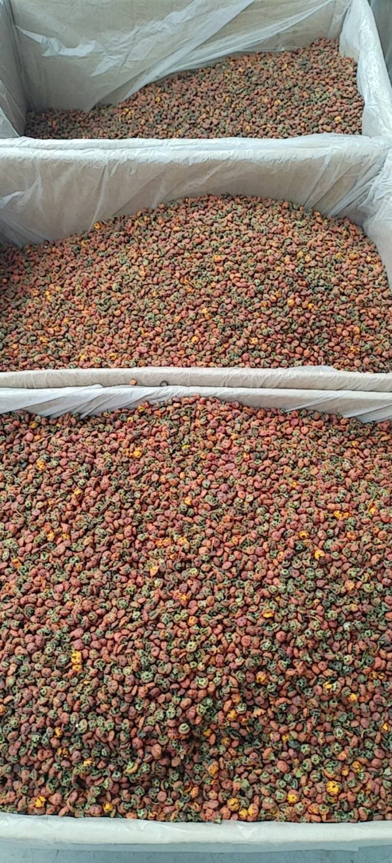 昆仑胎菊新疆高海拔精品花草茶
