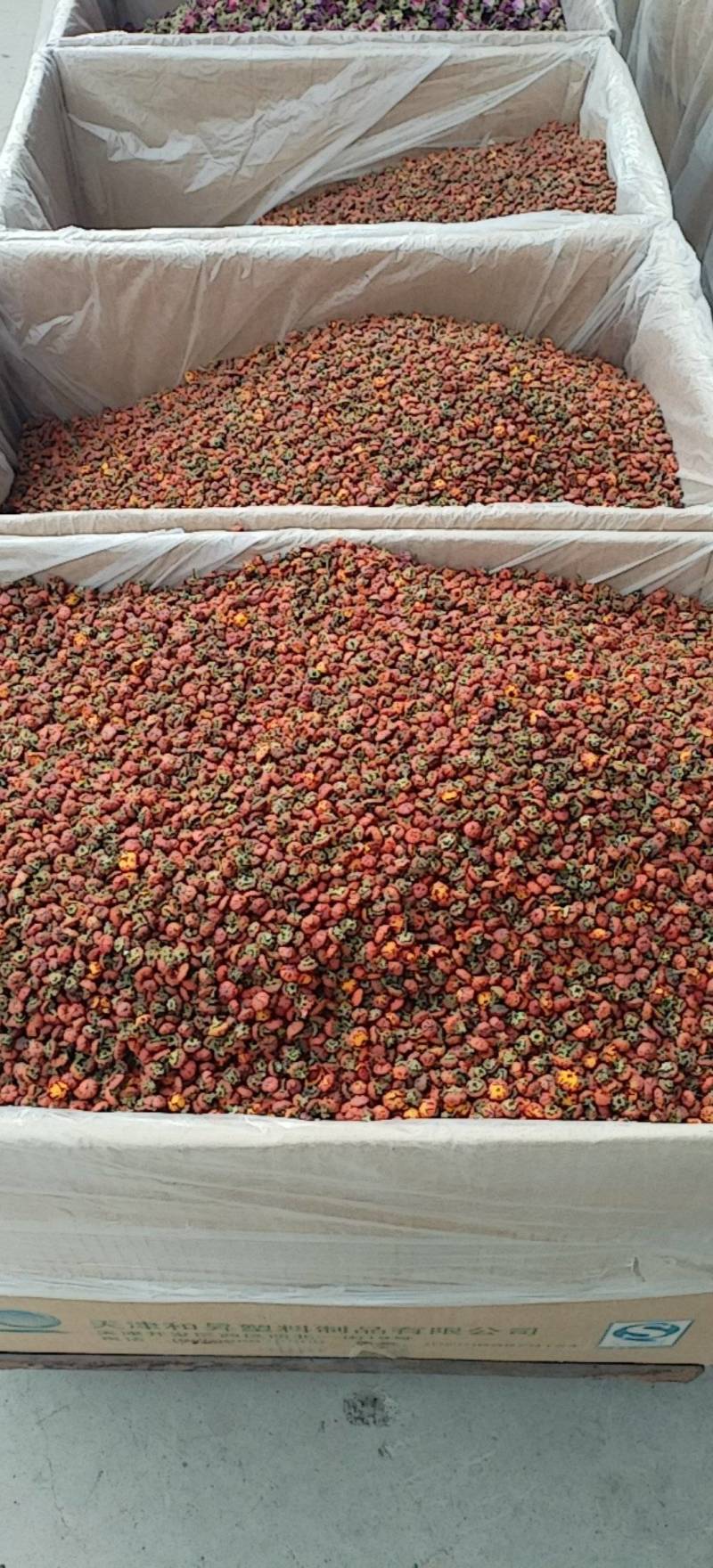昆仑胎菊新疆高海拔精品花草茶