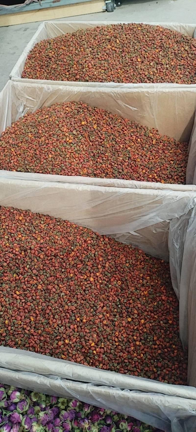 昆仑胎菊新疆高海拔精品花草茶