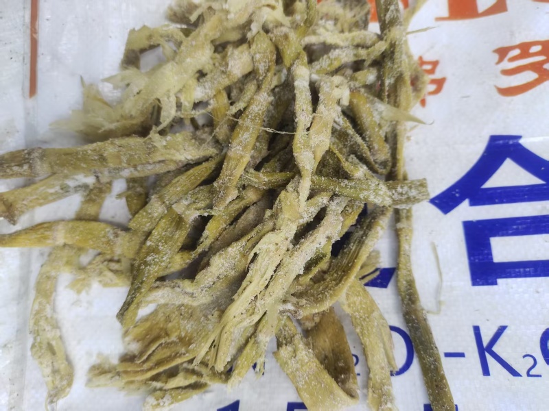 羊尾笋，又叫盐笋，纯野生，口感好，香醇可口