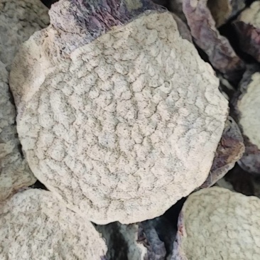 肉苁蓉切片新疆沙漠原味硬质大芸切片原味泡茶煲汤泡酒喝原料