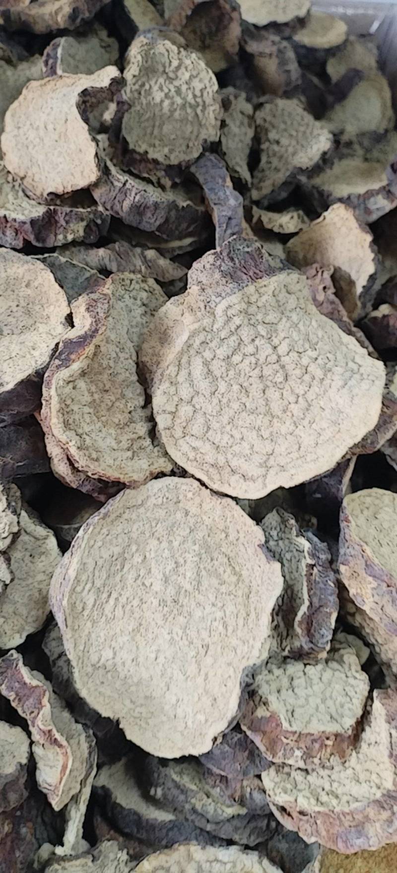 肉苁蓉切片新疆沙漠原味硬质大芸切片原味泡茶煲汤泡酒喝原料